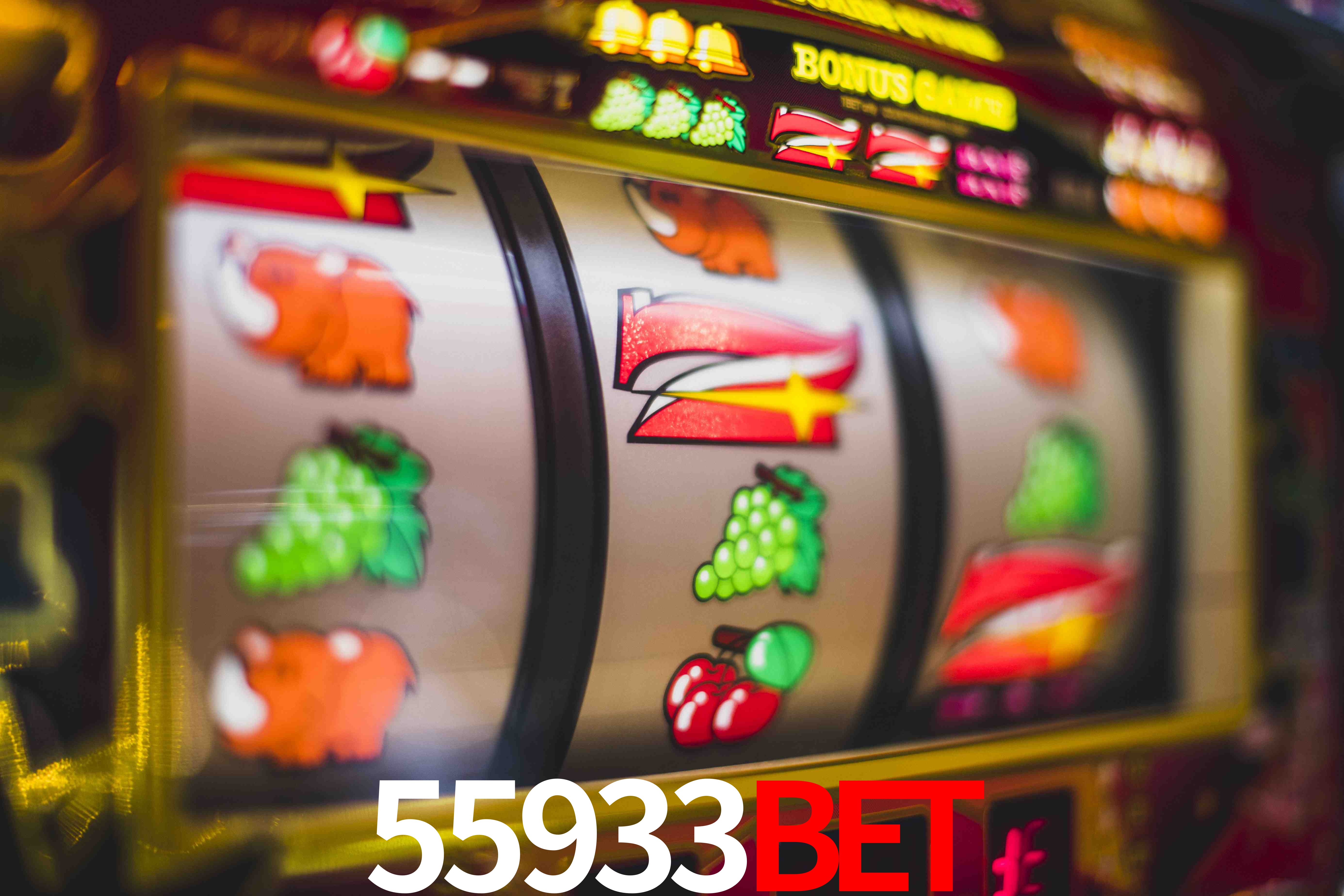 Sports Statistics 55933Bet